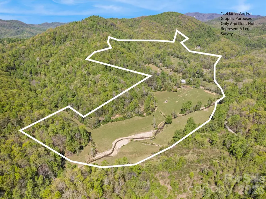 1372 Sand Branch Road, Black Mountain, NC 28711 - #2