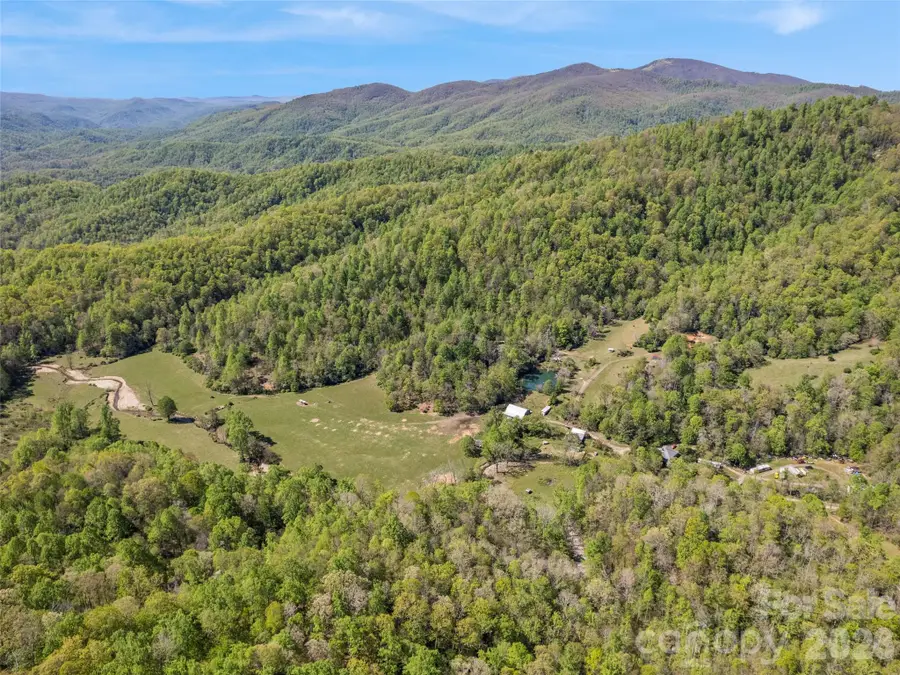 1372 Sand Branch Road, Black Mountain, NC 28711 - #3