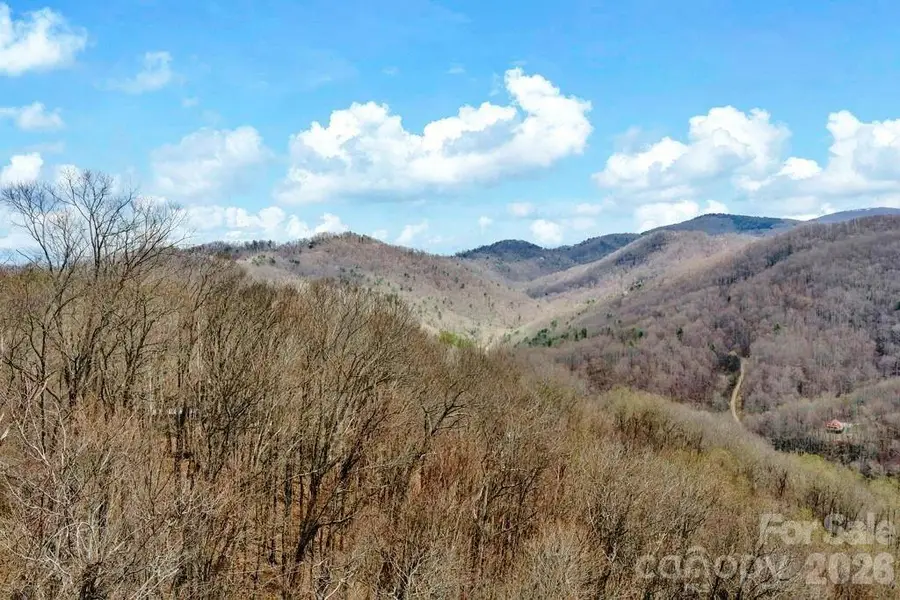 TBD Buckeye Road, Elk Park, NC 28622 - #3