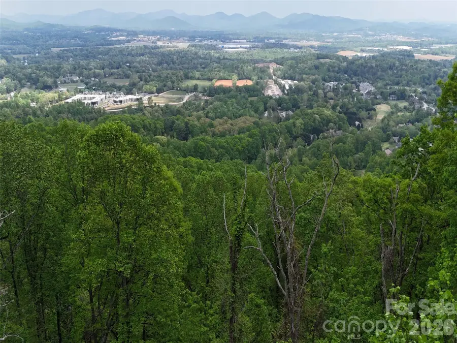 Lot #39 Poplar Drive, Mills River, NC 28759 - #2