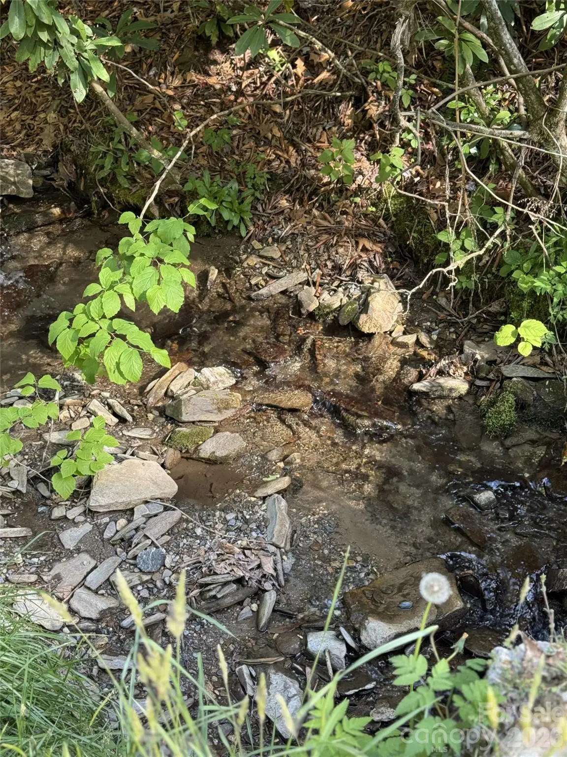 000 Unahala Creek Drive, Bryson City, NC 28713 - #1