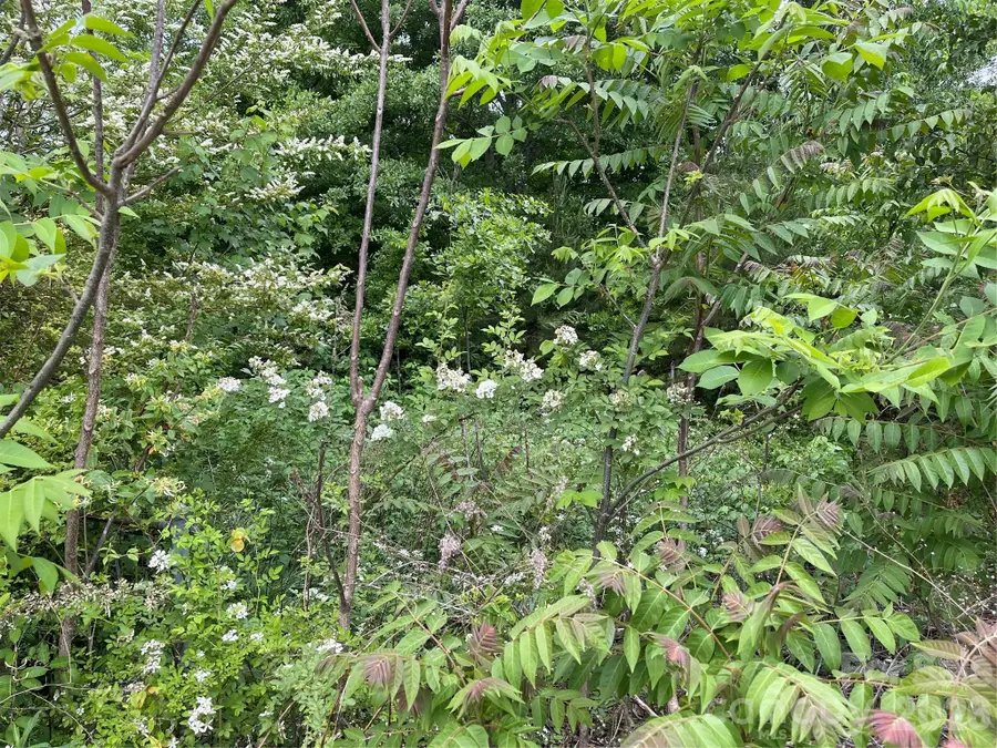 2733 Us 221s Highway, Forest City, NC 28043 - #3