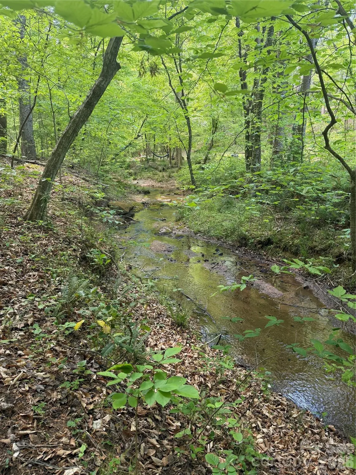 0 Overstone Drive #284, Rutherfordton, NC 28139 - #1