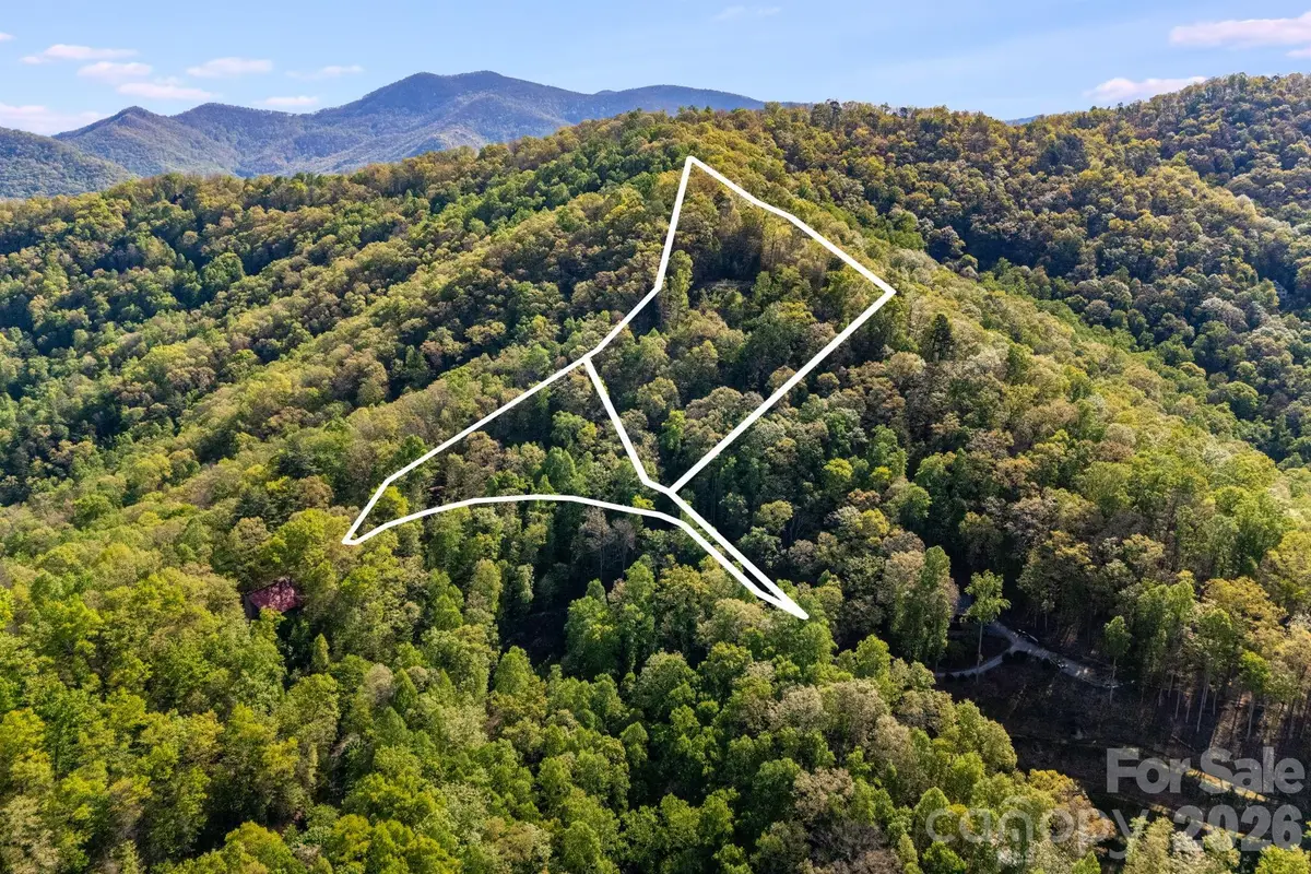 785 & 841 Laurel Spring Drive, Bryson City, NC 28713 - #1