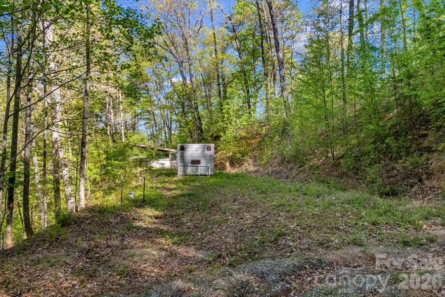 785 & 841 Laurel Spring Drive, Bryson City, NC 28713 - #3