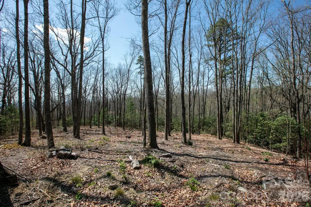 148 Spring Song Lane #6, Fletcher, NC 28732 - #1