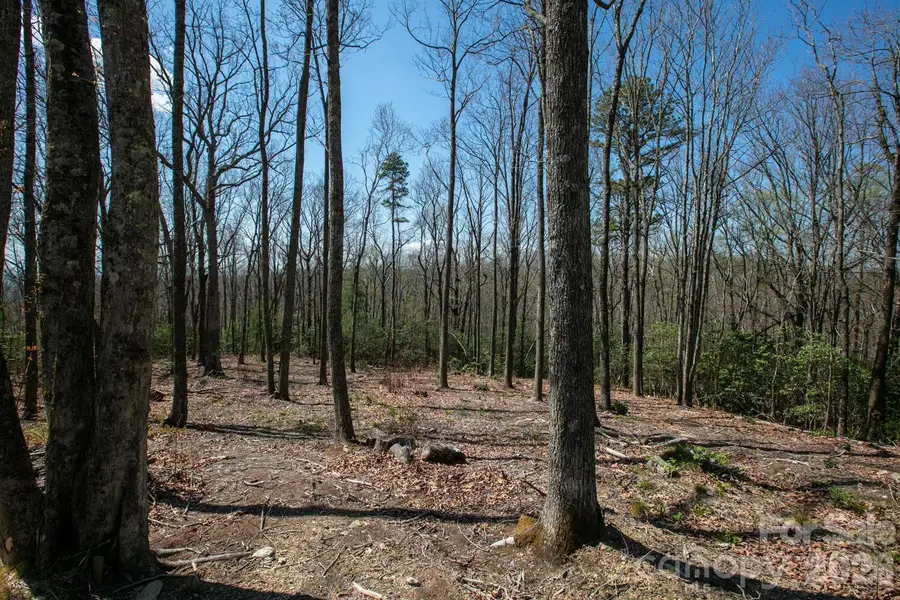 148 Spring Song Lane #6, Fletcher, NC 28732 - #2