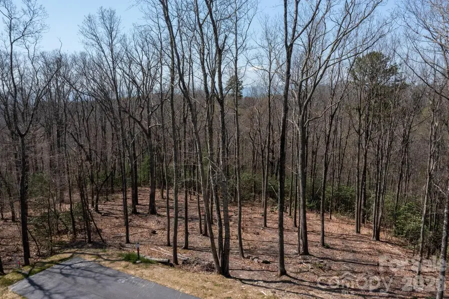 148 Spring Song Lane #6, Fletcher, NC 28732 - #3