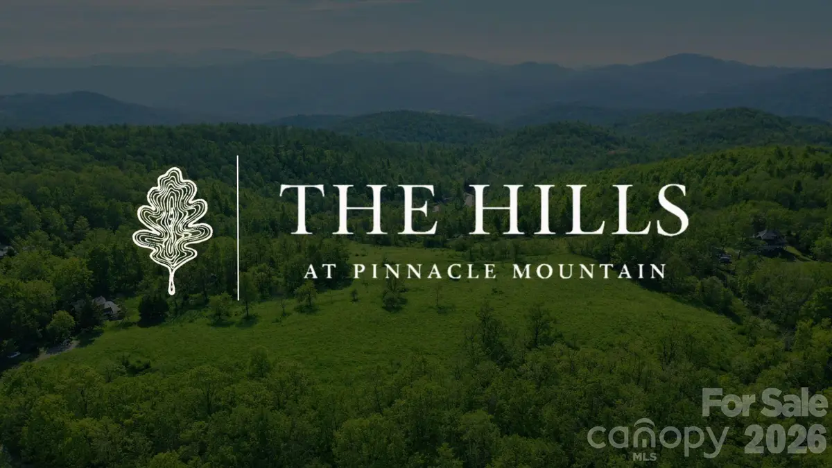 4105 Pinnacle Mountain Road, Zirconia, NC 28790 - #1