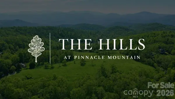 4105 Pinnacle Mountain Road, Zirconia, NC 28790