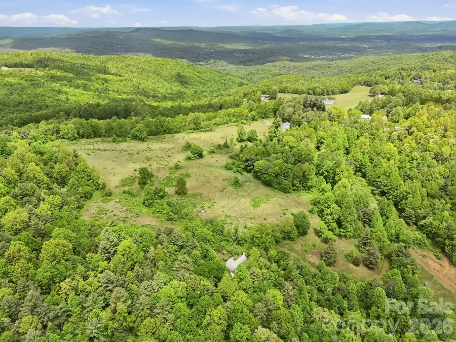 4105 Pinnacle Mountain Road, Zirconia, NC 28790 - #3