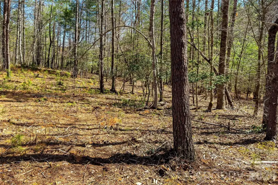 3107 Channel View Cove, Morganton, NC 28655 - #2