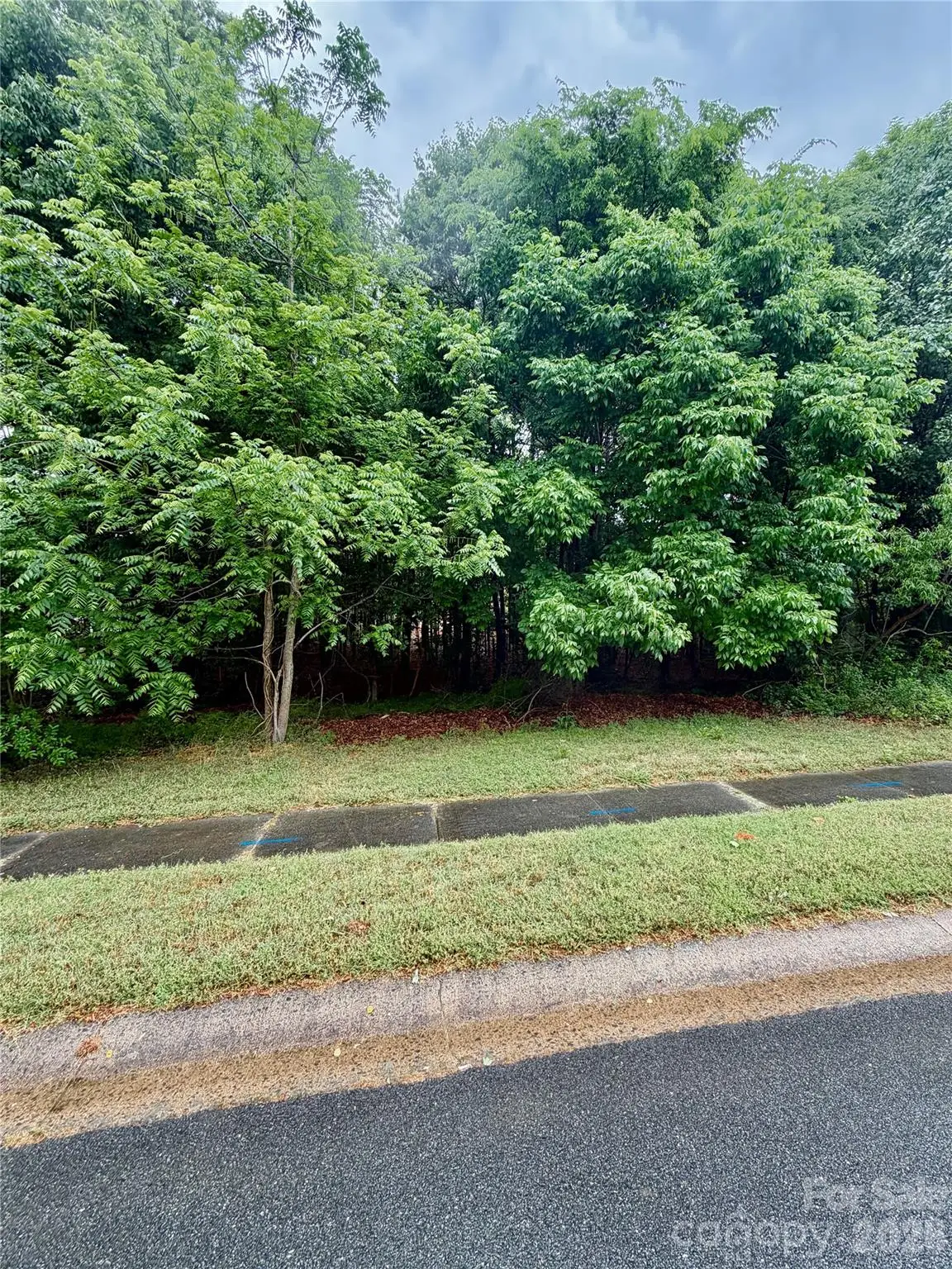 1808 Brandywine Drive, Matthews, NC 28105 - #1