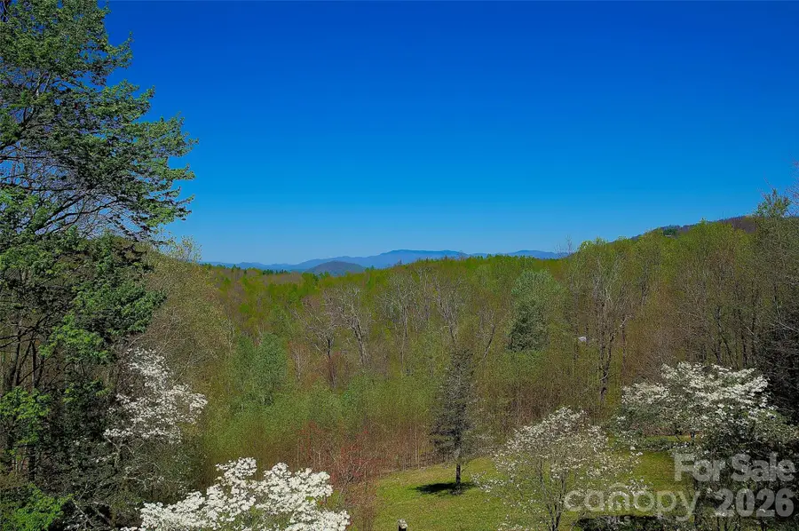 551 Carvers Knob Road, Spruce Pine, NC 28777 - #2