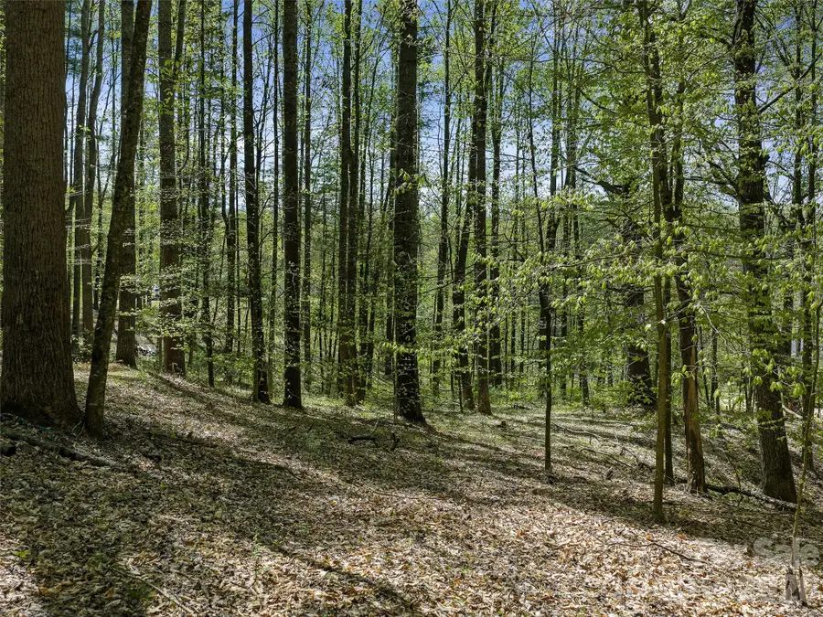 105 Satinwood Drive, Burnsville, NC 28714 - #2