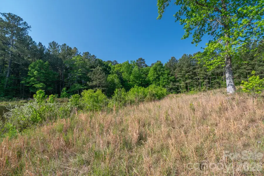 0 Potter Road, Lancaster, SC 29720 - #3