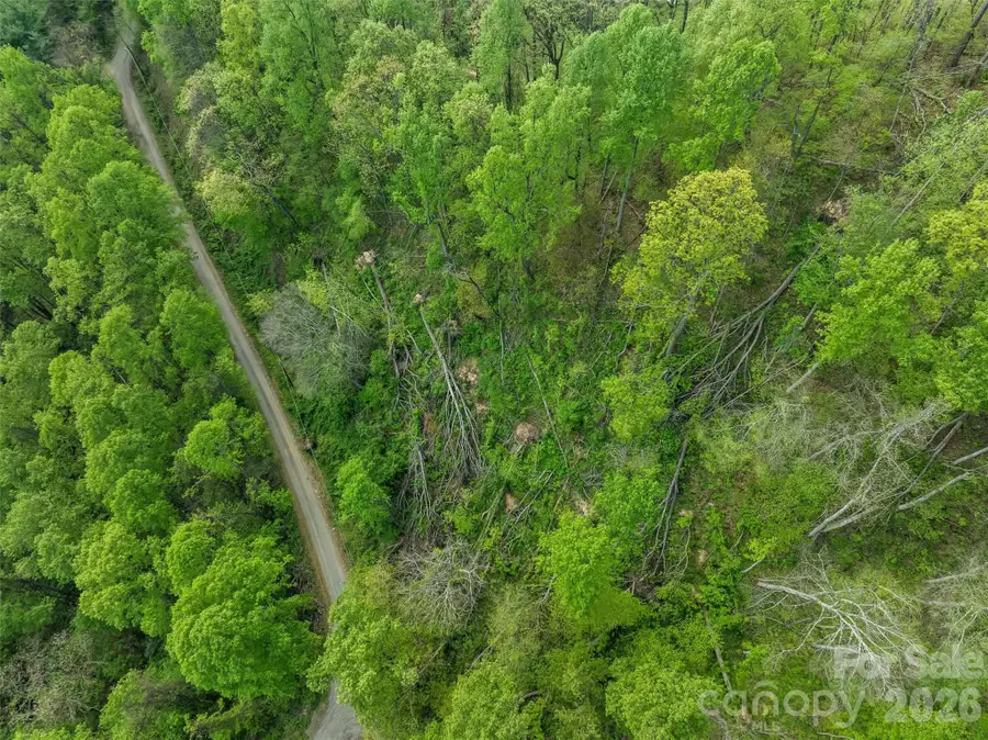 TBD Jacks Knob Road #49, Barnardsville, NC 28709 - #2