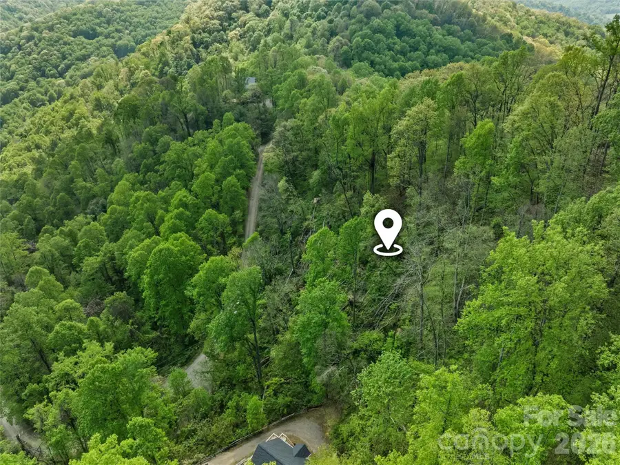 TBD Jacks Knob Road #49, Barnardsville, NC 28709 - #3