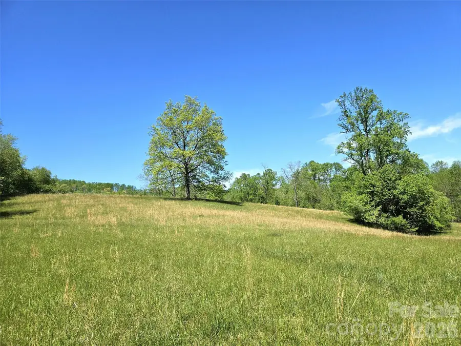 285 Mount Gilead Church Road, Mills River, NC 28759 - #2