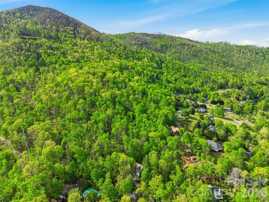 17 Bohemian Lane, Asheville, NC 28805 - #3