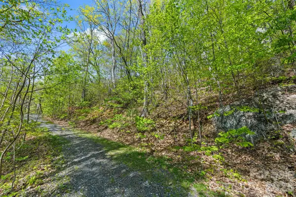 21 Reillys Bluff Road #1, Barnardsville, NC 28709
