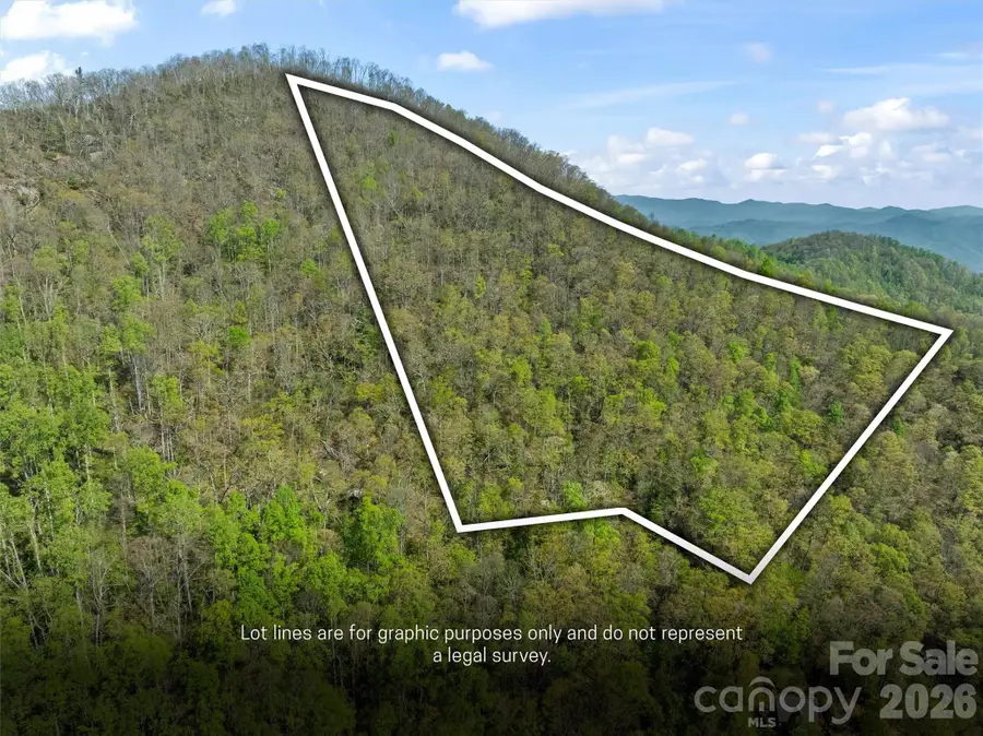 21 Reillys Bluff Road #1, Barnardsville, NC 28709 - #2