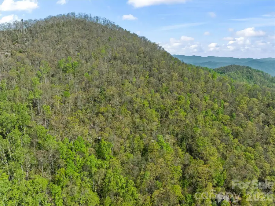 21 Reillys Bluff Road #1, Barnardsville, NC 28709 - #3