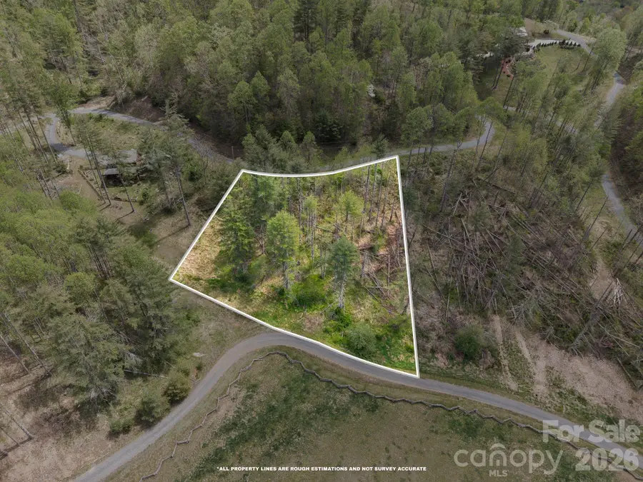 00000 White Pine Lane #19, Bakersville, NC 28705 - #3