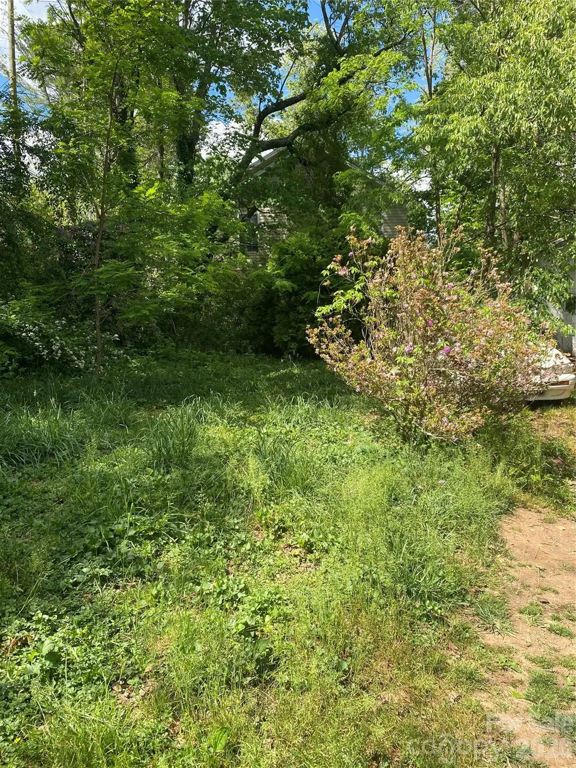 99999 Lilac Street, Asheville, NC 28806 - #1