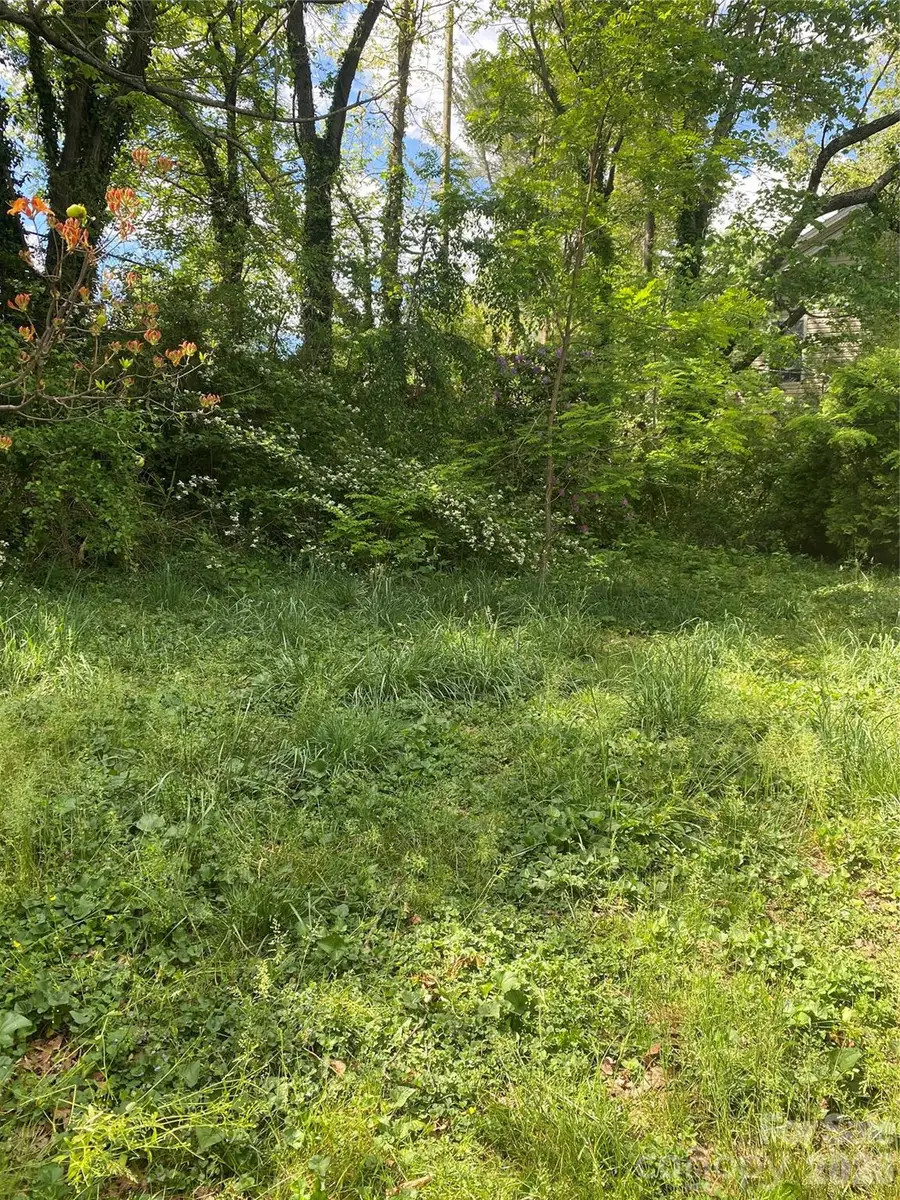 99999 Lilac Street, Asheville, NC 28806 - #2