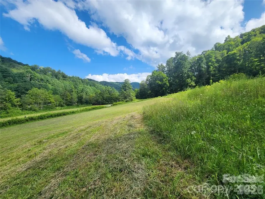 5570 Meadow Fork Road, Hot Springs, NC 28743 - #2
