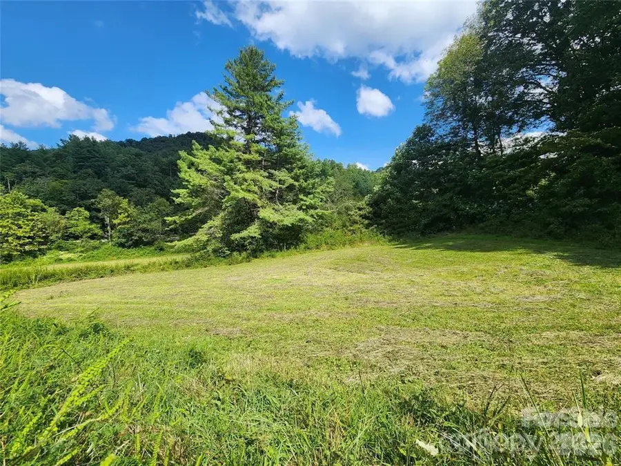 5570 Meadow Fork Road, Hot Springs, NC 28743 - #3