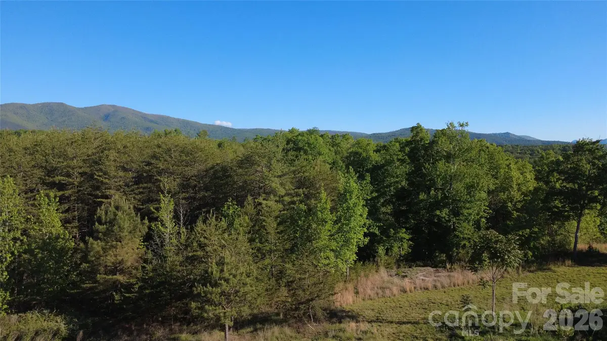 431 Ridge Point Road #7, Nebo, NC 28761 - #1