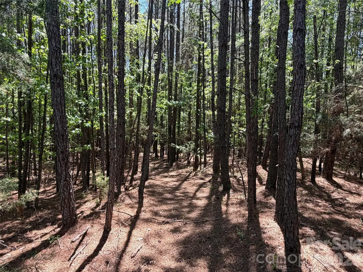 5 AC Terry Drive Highway, Union, SC 29379 - #1
