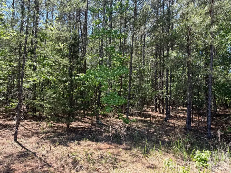 5 AC Terry Drive Highway, Union, SC 29379 - #2