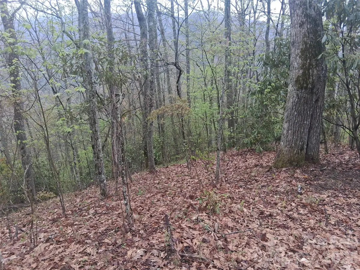 0000 Bear Creek Road, Leicester, NC 28721 - #1