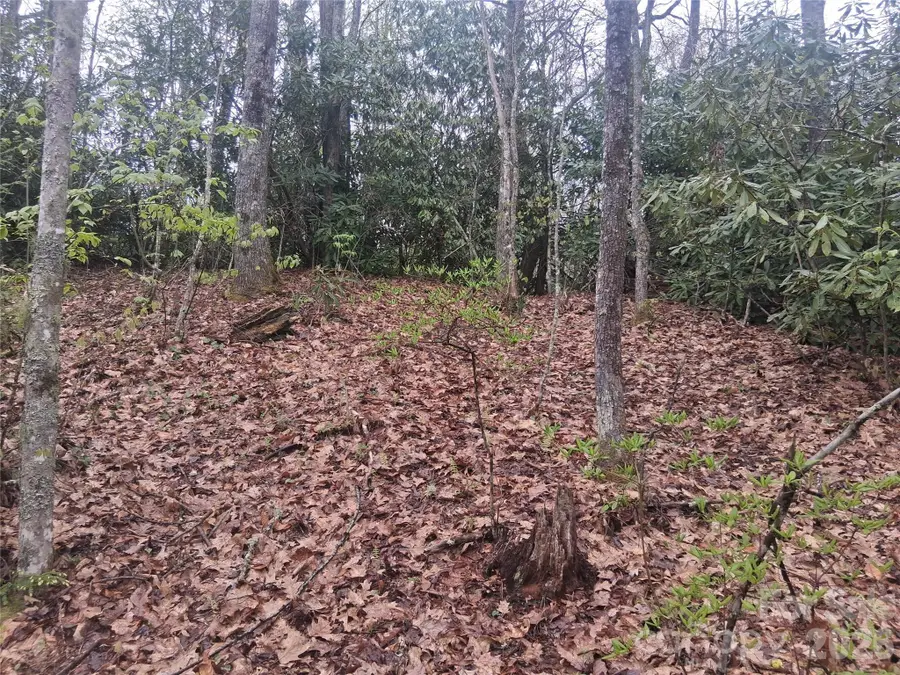 0000 Bear Creek Road, Leicester, NC 28721 - #2