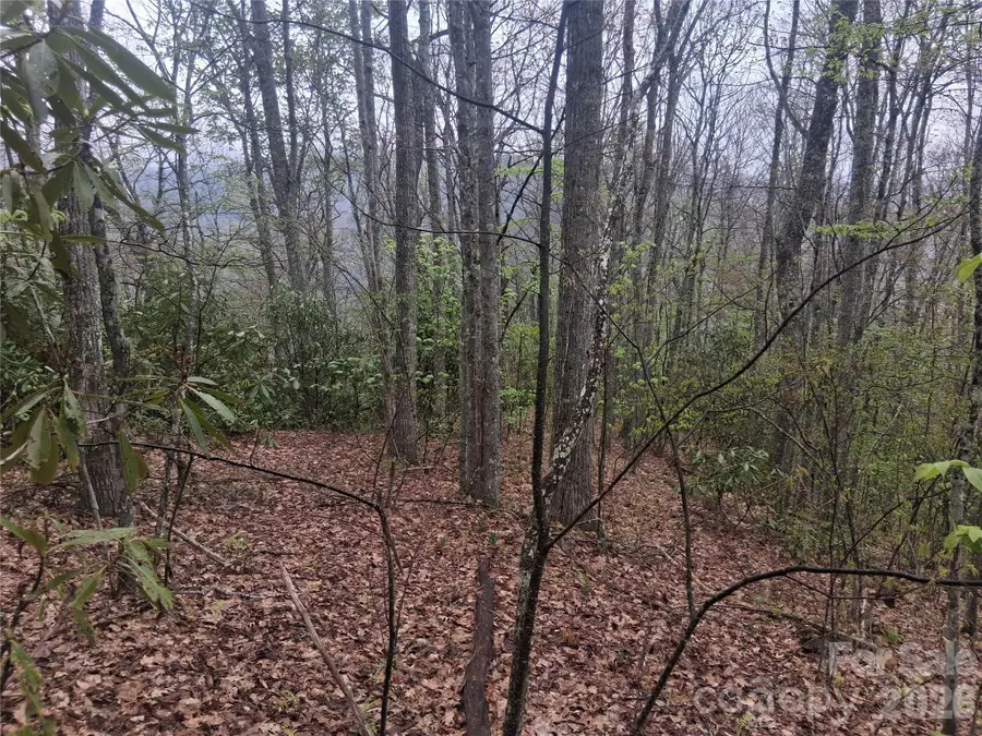 0000 Bear Creek Road, Leicester, NC 28721 - #3