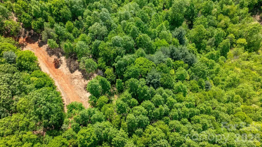 122 Long Leaf Pine Road #Lot 1, Hiddenite, NC 28636 - #3