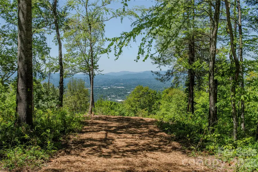 700 Elk Mountain Scenic Highway, Asheville, NC 28804 - #3