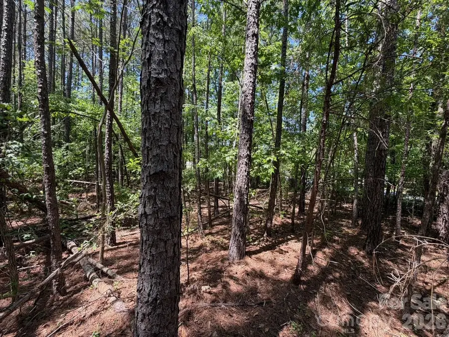7 AC Terry Drive Highway, Union, SC 29379 - #3