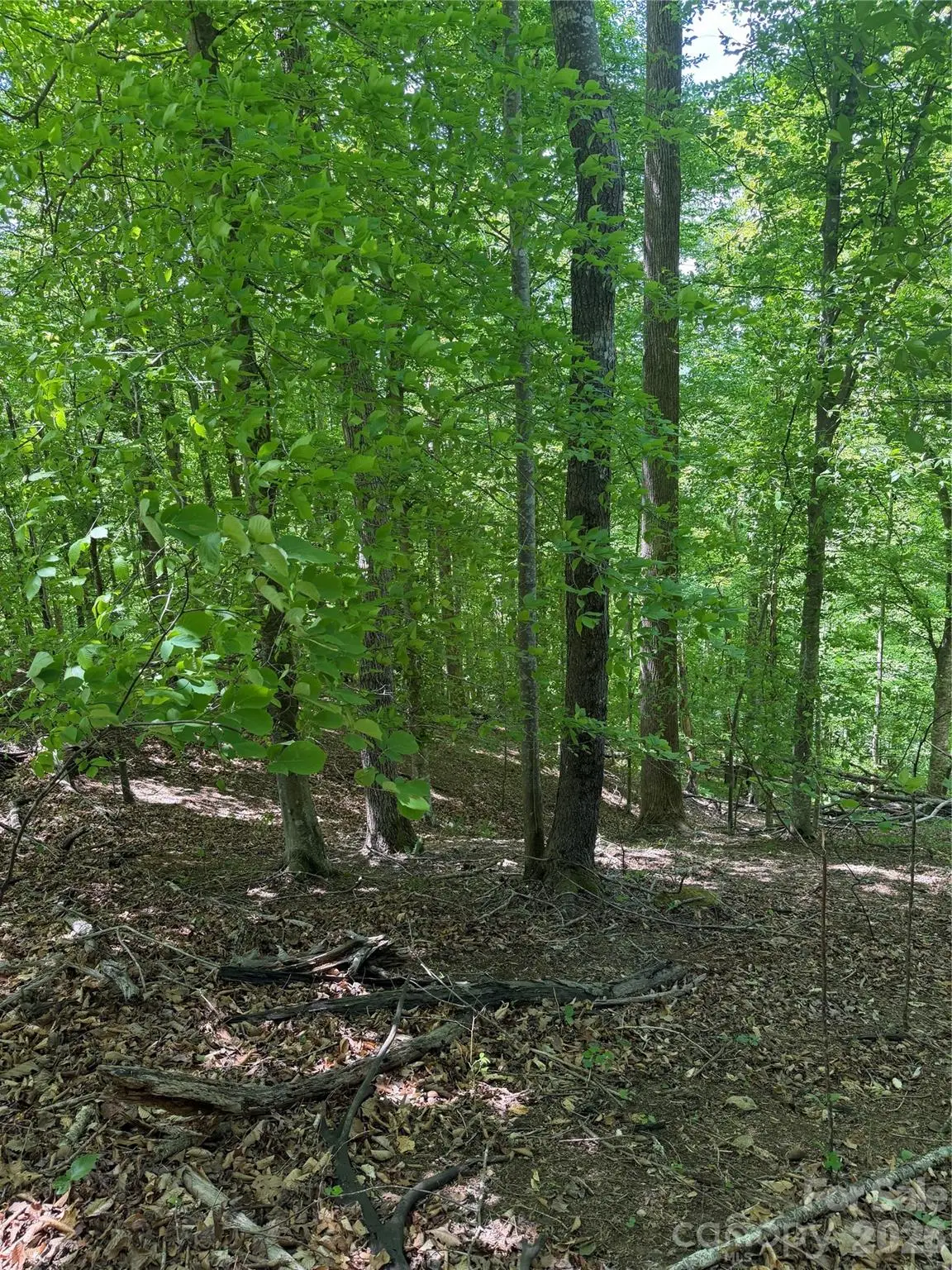 0 Creekside Circle #135, Rutherfordton, NC 28139 - #1