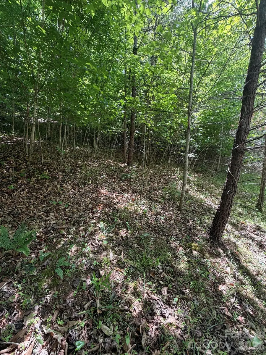 0 Creekside Circle #135, Rutherfordton, NC 28139 - #3