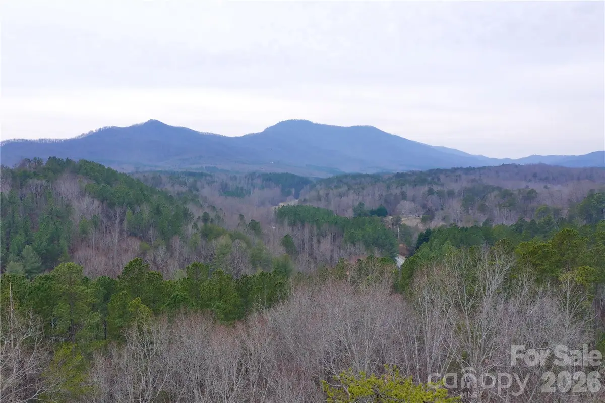 1140 Hwy 9 Highway, Mill Spring, NC 28756 - #1