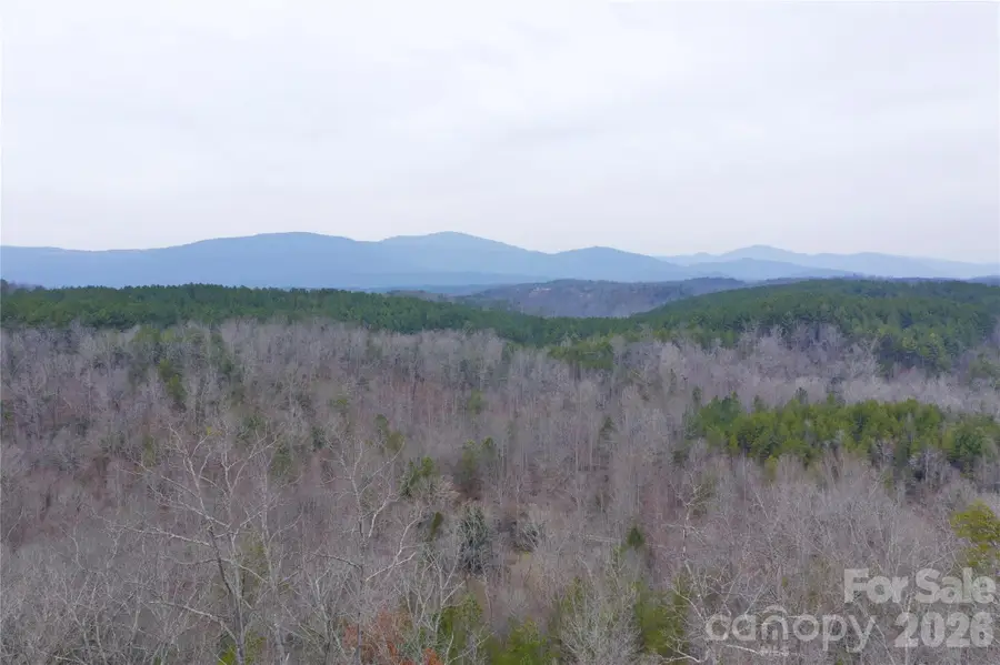 1140 Hwy 9 Highway, Mill Spring, NC 28756 - #3