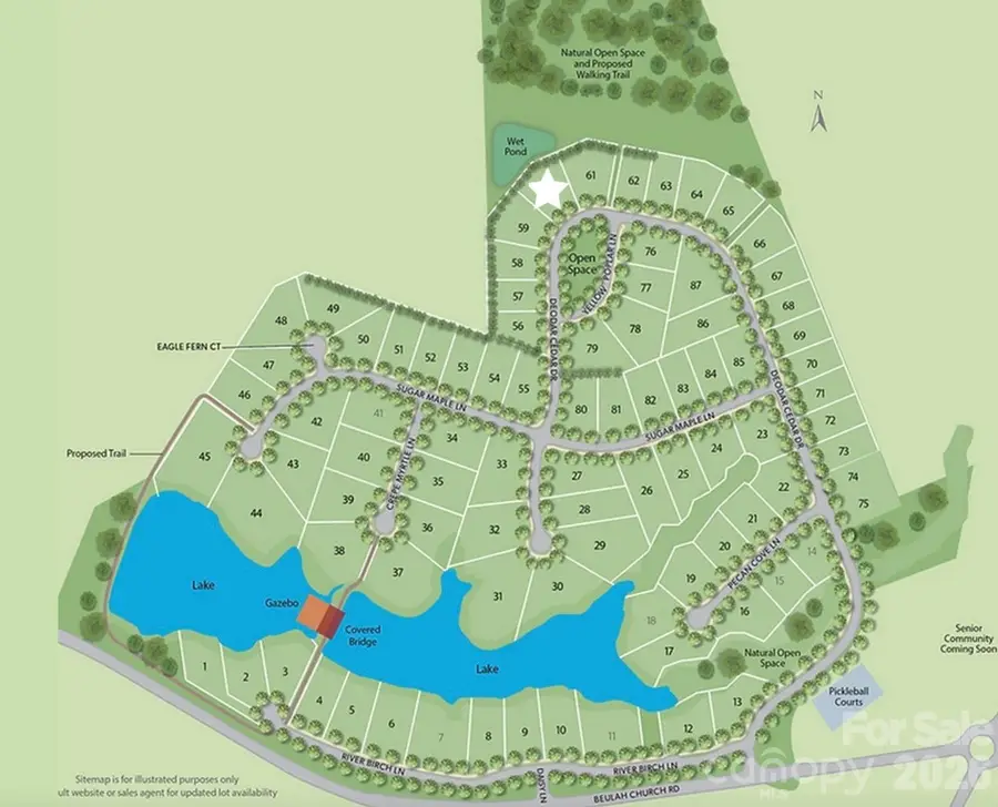 706 Deodar Cedar Drive, Weddington, NC 28104 - #2