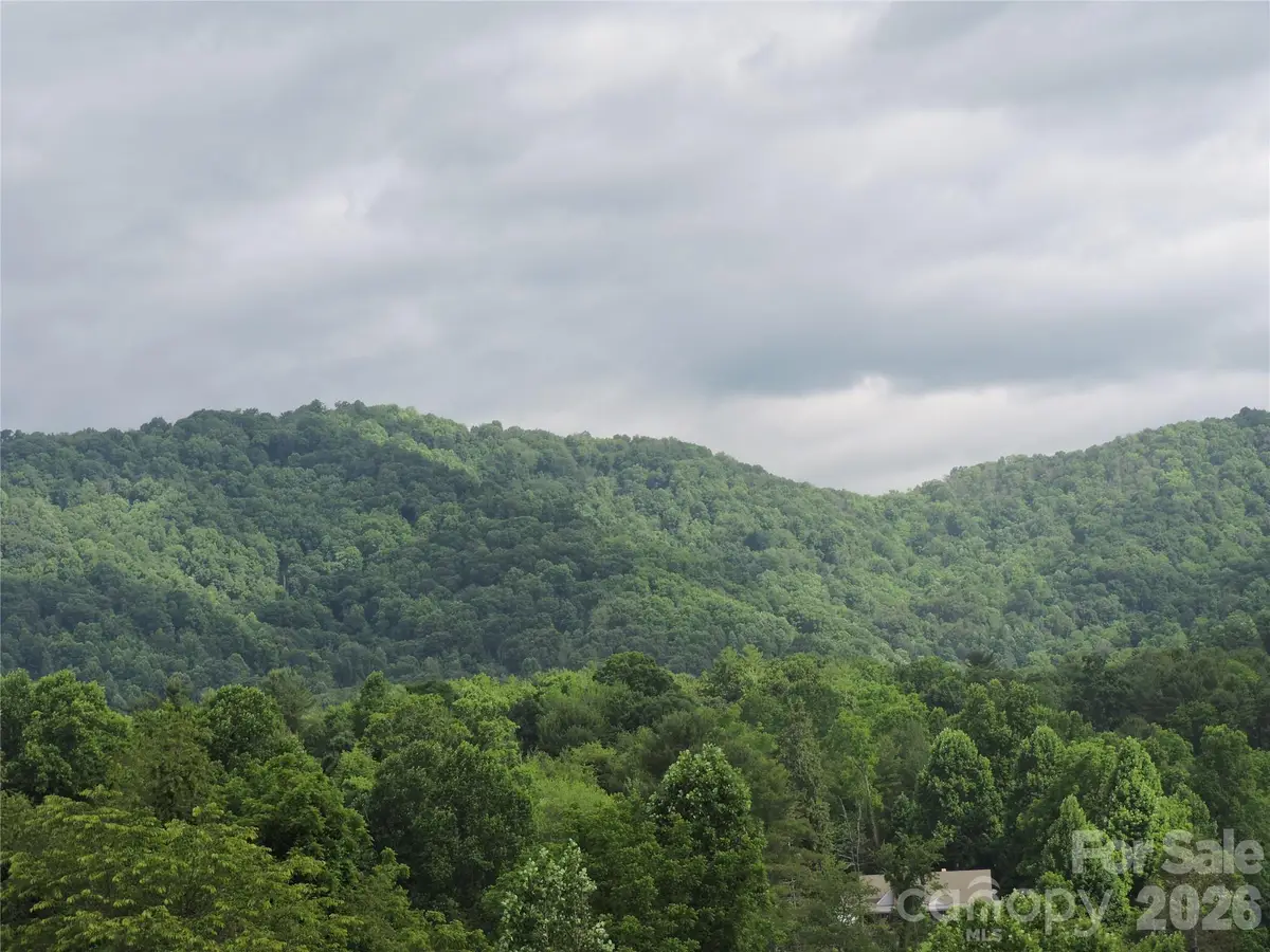 60 Gins Lane #lot 11, Mars Hill, NC 28754 - #1