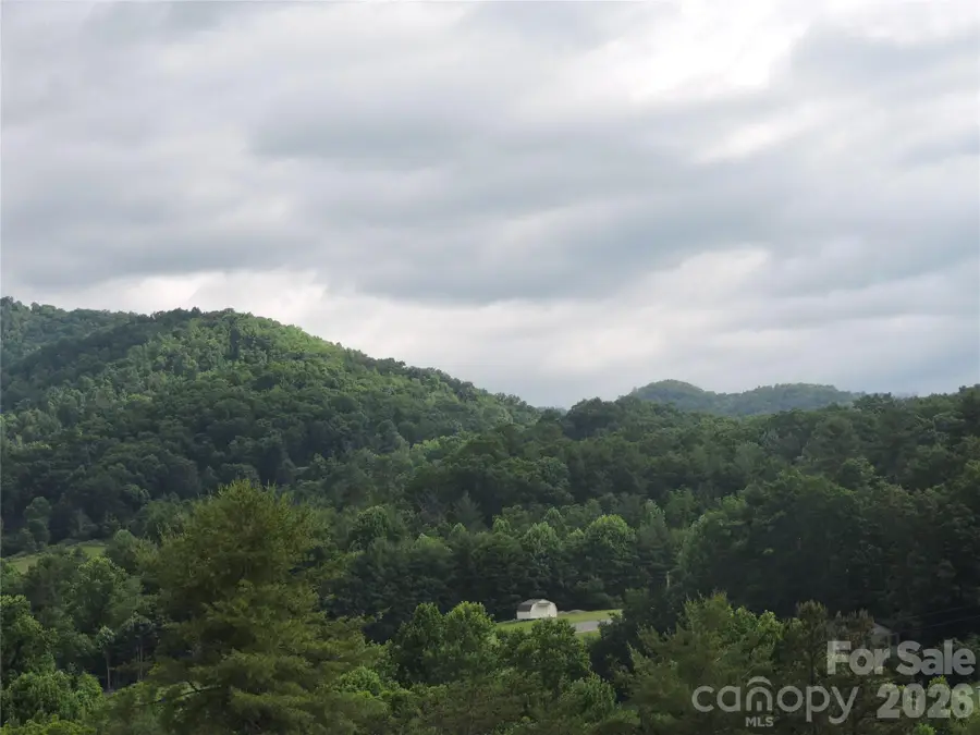 60 Gins Lane #lot 11, Mars Hill, NC 28754 - #2