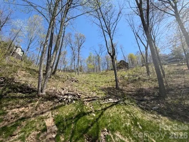 20 Cliff's Edge Drive, Burnsville, NC 28714 - #1