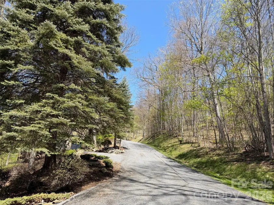 20 Cliff's Edge Drive, Burnsville, NC 28714 - #2